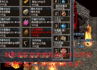 ��Ӱ��ְҵ����˽��������ο�������ս�����ȡ����װ����