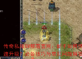 ����˽��GM���������������ο����������ر������볣��������