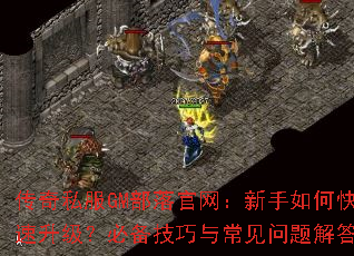 ����˽��GM���������������ο����������ر������볣��������