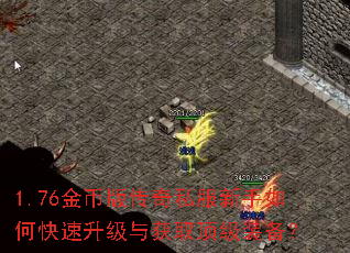 1.76��Ұ洫��˽��������ο����������ȡ����װ����