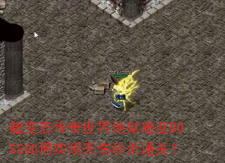 ����̬������������Ѷ�BOSS���ʵ��������ɱͨ�أ�