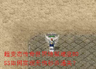 ����̬������������Ѷ�BOSS���ʵ��������ɱͨ�أ�