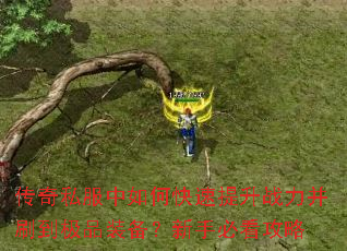 传奇私服中如何快速提升战力并刷到极品装备?新手必看攻略 传奇私服中如何快速提升战力并刷到极品装备?新手必看攻略