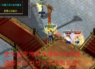 ��ʧ���䴫��˽��999��ο�������ս�����ȡϡ��װ����