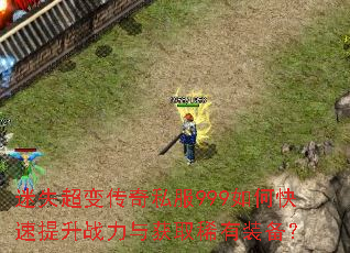 ��ʧ���䴫��˽��999��ο�������ս�����ȡϡ��װ����