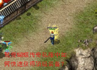 ԧ���������˽������ο��ٻ�ö���װ����