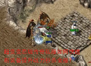 �����̬�洫��˽����ο���ˢװ������ս����ɱȫ����