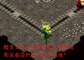 �����̬�洫��˽����ο���ˢװ������ս����ɱȫ����