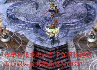 ����˽����̬sf������ο��ٻ�ȡ����װ������ս�ռ�BOSS��