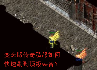 ��̬�洫��˽����ο���ˢ������װ����