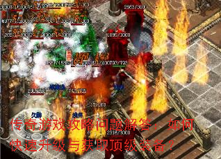 ������Ϸ������������ο����������ȡ����װ����