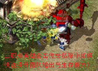 ��ְҵӢ�ۺϻ�����˽������ο��������Ŷ����������������