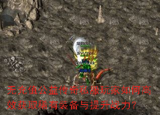 �޳�ֵ���洫��˽�������θ�Ч��ȡϡ��װ��������ս����