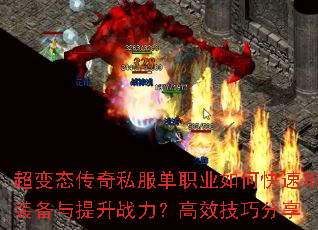 ����̬����˽����ְҵ��ο���ˢװ��������ս������Ч���ɷ���