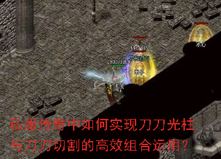 ˽�����������ʵ�ֵ��������뵶���и�ĸ�Ч������ã�