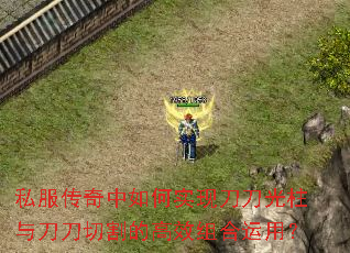 ˽�����������ʵ�ֵ��������뵶���и�ĸ�Ч������ã�