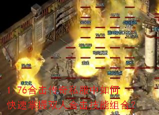 1.76�ϻ�����˽������ο�������˫�˺ϻ�������ϣ�