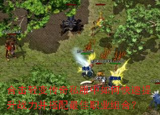 �ϻ���䴫��˽������ο�������ս�����������ְҵ��ϣ�