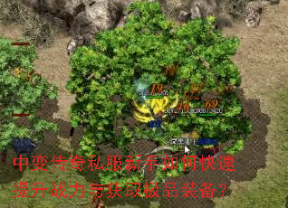 中变传奇私服新手如何快速提升战力与获取极品装备? 中变传奇私服新手如何快速提升战力与获取极品装备?