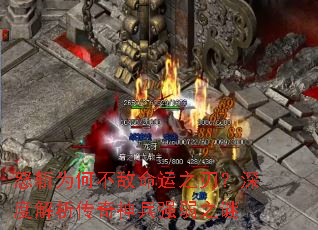 ŭնΪ�β�������֮�У���Ƚ����������ǿ��֮��