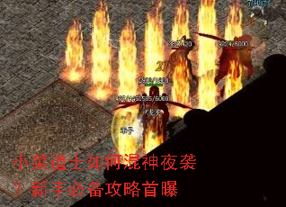 小菜道士如何混神夜袭?新手必备攻略首曝 小菜道士如何混神夜袭?新手必备攻略首曝