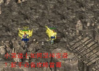 小菜道士如何混神夜袭?新手必备攻略首曝 小菜道士如何混神夜袭?新手必备攻略首曝