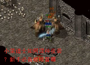 小菜道士如何混神夜袭?新手必备攻略首曝 小菜道士如何混神夜袭?新手必备攻略首曝