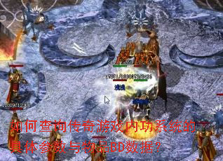 如何查询传奇游戏内功系统的具体参数与物品BD数据? 如何查询传奇游戏内功系统的具体参数与物品BD数据?