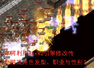 �������MaxM2�����޸Ĵ�����Ϸ��ɫ���͡�ְҵ���Ա�