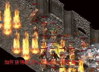 如何获得龟派气功龙啸九天玉佩? 如何获得龟派气功龙啸九天玉佩?