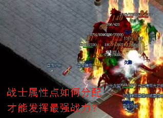 战士属性点如何分配才能发挥最强战力? 战士属性点如何分配才能发挥最强战力?