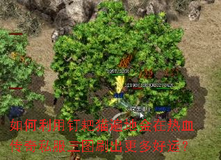 如何利用钉耙猫遍地金在热血传奇私服三图刷出更多好运? 如何利用钉耙猫遍地金在热血传奇私服三图刷出更多好运?