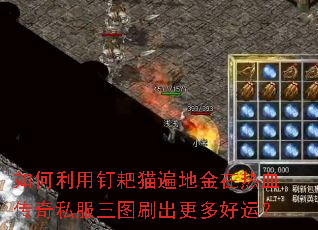 如何利用钉耙猫遍地金在热血传奇私服三图刷出更多好运? 如何利用钉耙猫遍地金在热血传奇私服三图刷出更多好运?