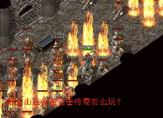 ����ɽׯ�ϻ�����������ô�棿