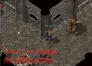 ����׻������������ҵ����Ķ��ҹ��ԣ�