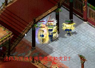 法师为何很少携带鹰卫和虎卫? 法师为何很少携带鹰卫和虎卫?