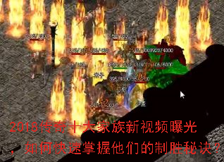 2018����ʮ���������Ƶ�ع⣬��ο����������ǵ���ʤ�ؾ���