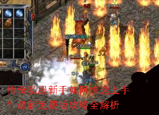 ����˽��������ο������֣�������Ѱ湥��ȫ����