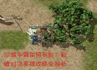 ɳ�����������ʤ���۷�Ծ�Ӣ�۹���ȫ����