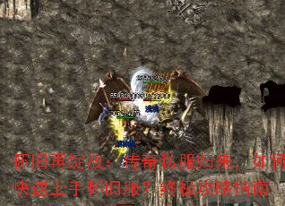 ���������ţ�����˽����������ο������ֻ��ɷ����ռ�����ָ��