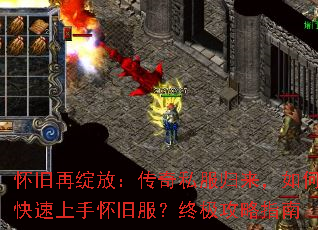 ���������ţ�����˽����������ο������ֻ��ɷ����ռ�����ָ��