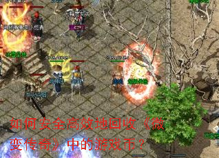 ��ΰ�ȫ��Ч�ػ��ա�΢�䴫�桷�е���Ϸ�ң�