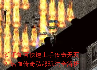 ������ο������ִ�����˫����Ѫ����˽���淨ȫ����