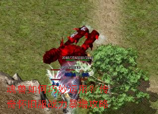 ��������������ã����滳�ɷ�ս����������