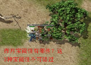 ���±��ع�����Щ����3�ֱ��عֲ��ɴ���