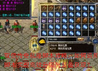 双倍传奇私服脚本攻略:如何运用脚本实现高效升级与装备获取? 双倍传奇私服脚本攻略:如何运用脚本实现高效升级与装备获取?