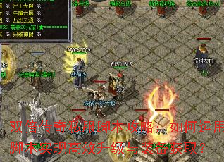 双倍传奇私服脚本攻略:如何运用脚本实现高效升级与装备获取? 双倍传奇私服脚本攻略:如何运用脚本实现高效升级与装备获取?