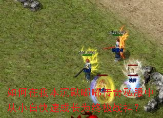 如何在我本沉默嘟嘟传奇私服中从小白快速成长为终极战神? 如何在我本沉默嘟嘟传奇私服中从小白快速成长为终极战神?