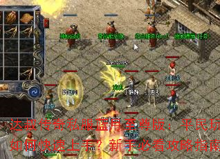 ���崫��˽����������棺ƽ�������ο������֣����ֱؿ�����ָ��