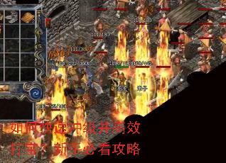 ��ο��ٳ弶����Ч�򱦣����ֱؿ�����